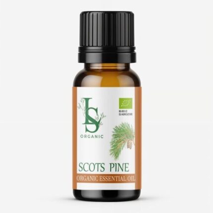 Organic essential oil from pine
